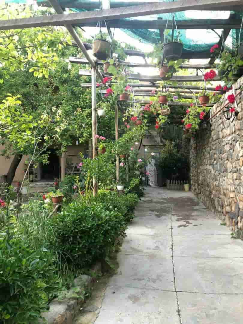 عکس اجاره  اتاق سنتی در حصار بوژان نیشابور - پیچک