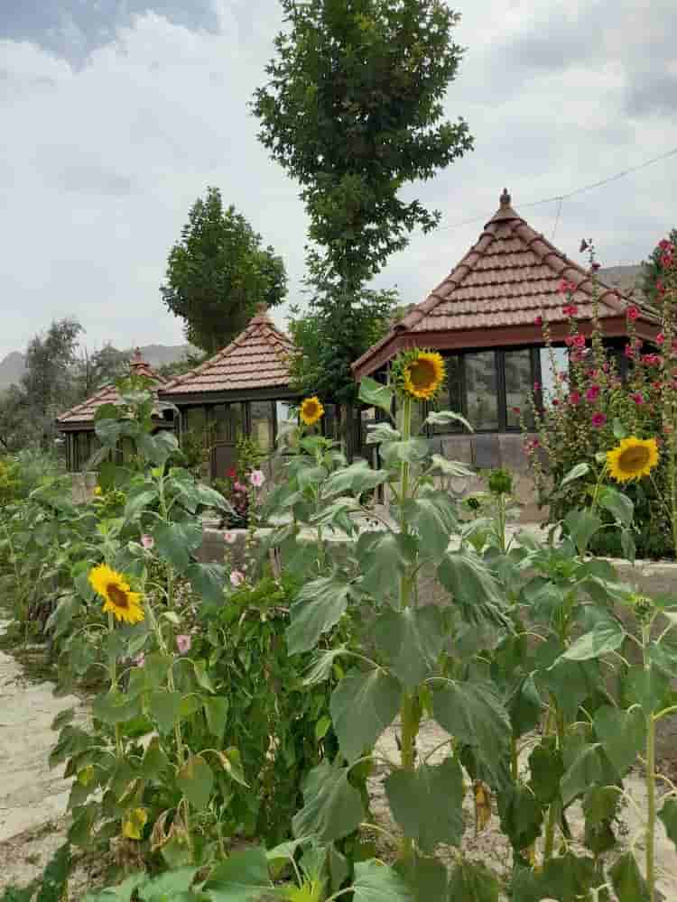 عکس اجاره آلاچیق نزدیک به مارگون