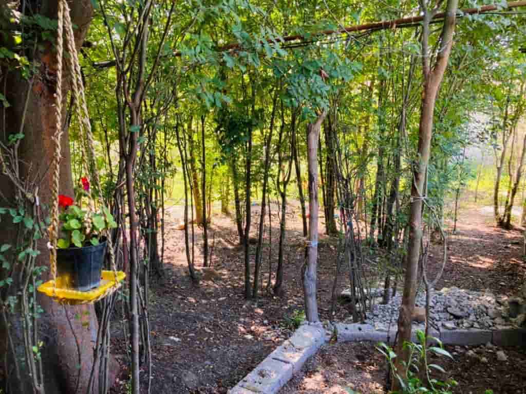 عکس اجاره ویلا باغ سنتی در کچا رشت - آتش