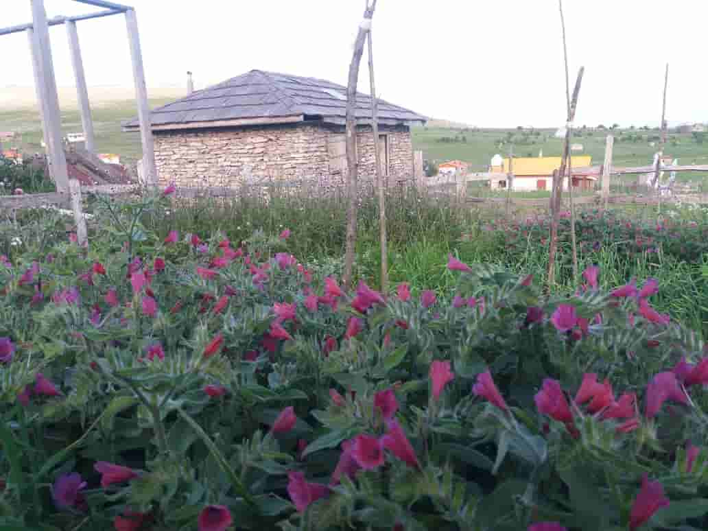 عکس اجاره کلبه در ییلاقات سوباتان تالش