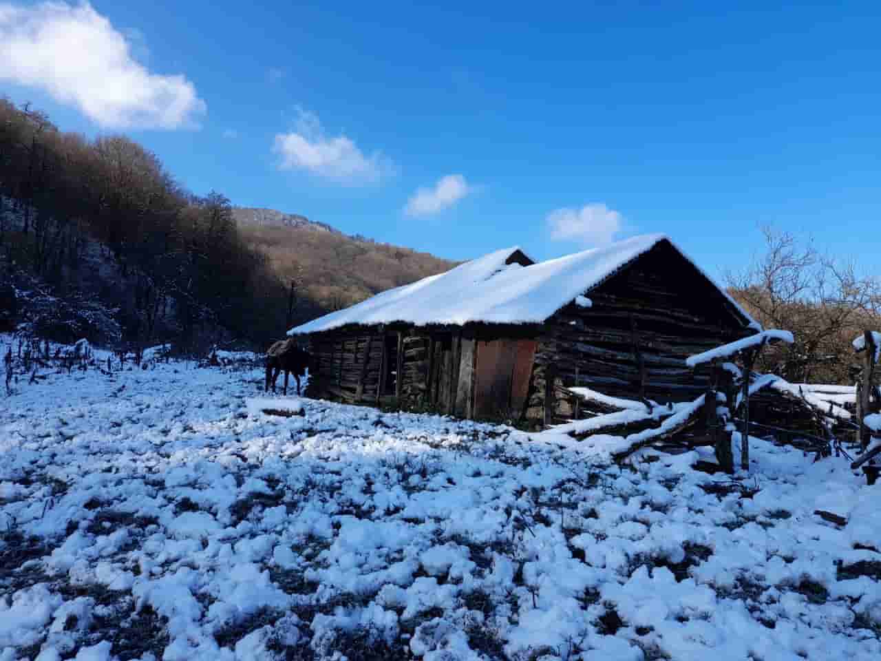 عکس اجاره کلبه چوبی در روستای تیار - آمل