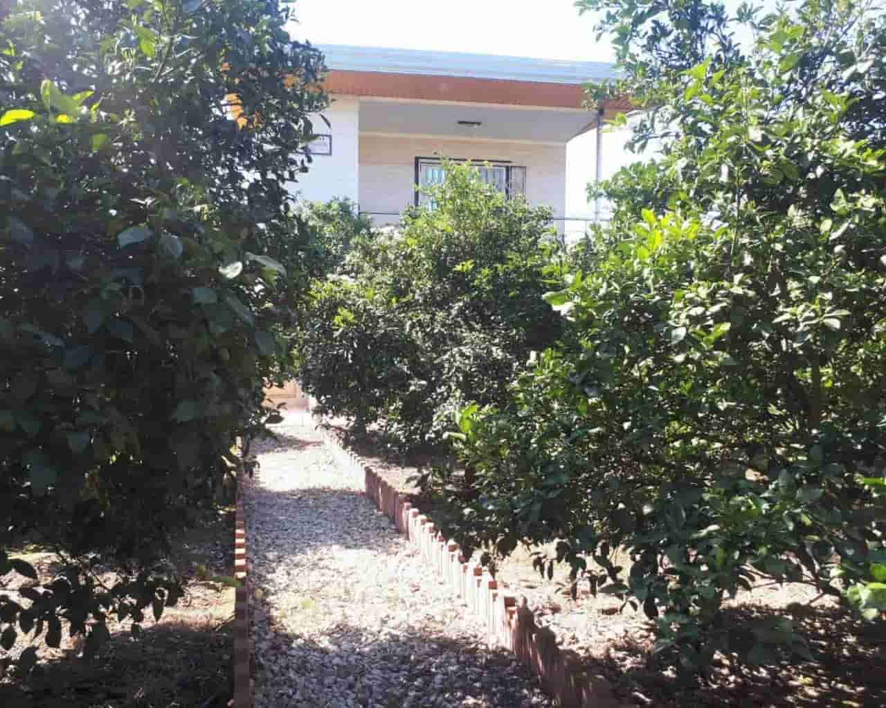 عکس اجاره ویلا باغ در کپورچال بابل - مازندران