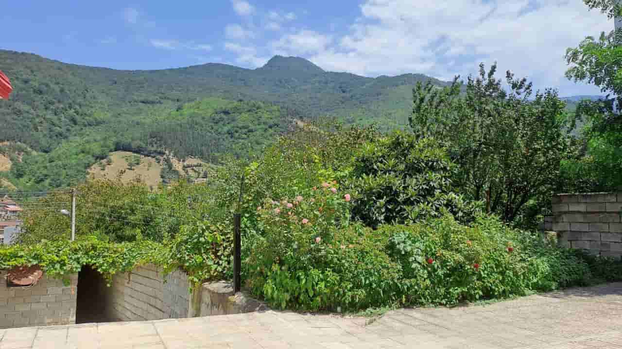 عکس اجاره ویلا جنگلی در روستای میارکلا پل سفید