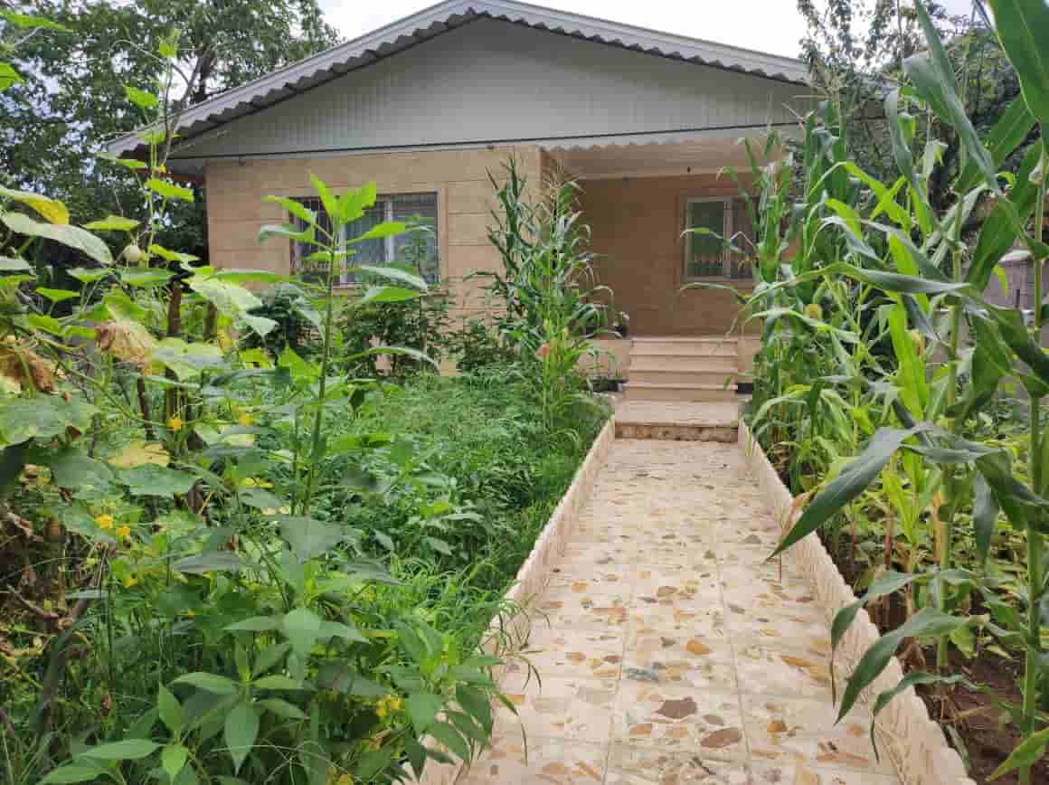 عکس اجاره ویلا جنگلی در روستای شیخ محله