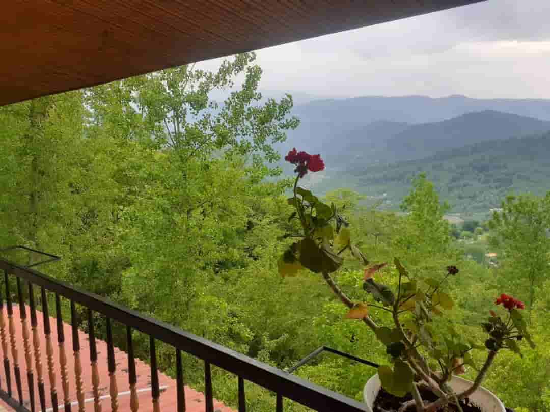 عکس مجتمع ویلایی جنگلی در روستای چاسرکا در بابل - 3