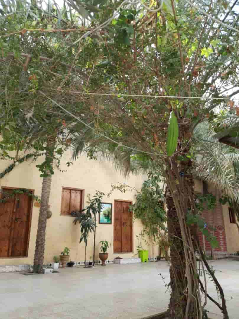 عکس اجاره اقامتگاه بومگردی 4 نفره تخت  دار مستر در طبل قشم - شکرپاره