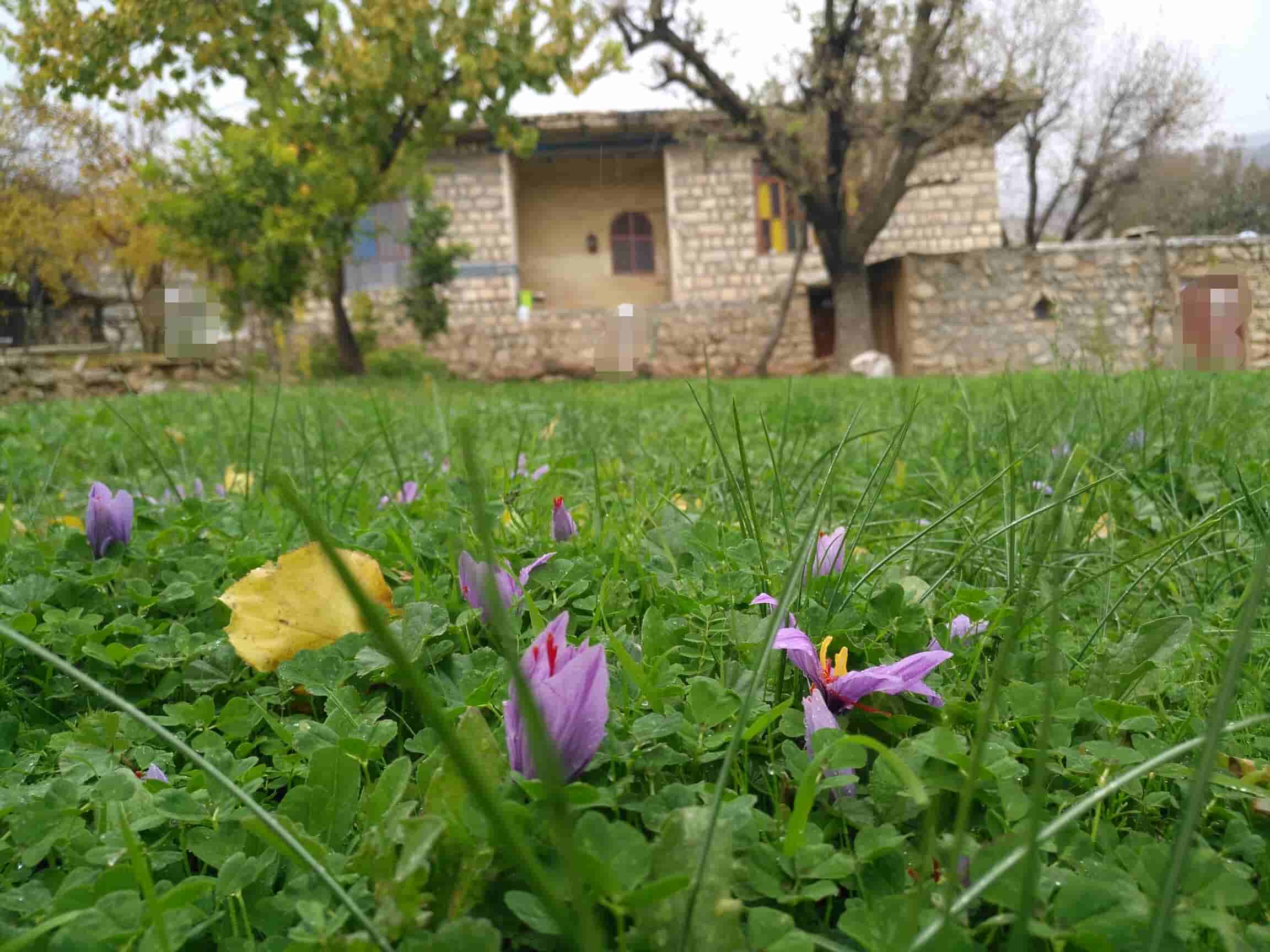 عکس اقامتگاه بومگردی درقلعه سرد دهدز16متری
