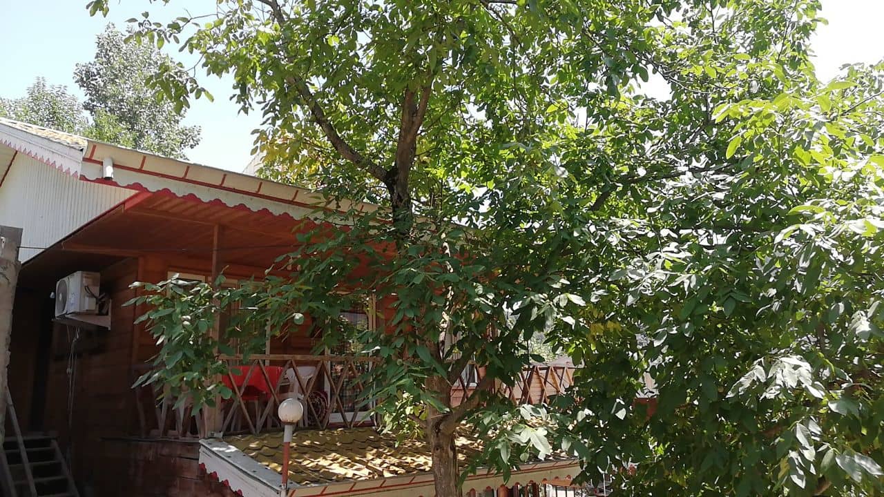 اجاره اقامتگاه بومگردی جنگلی در روستای طاسکوه ماسال - کلبه 6