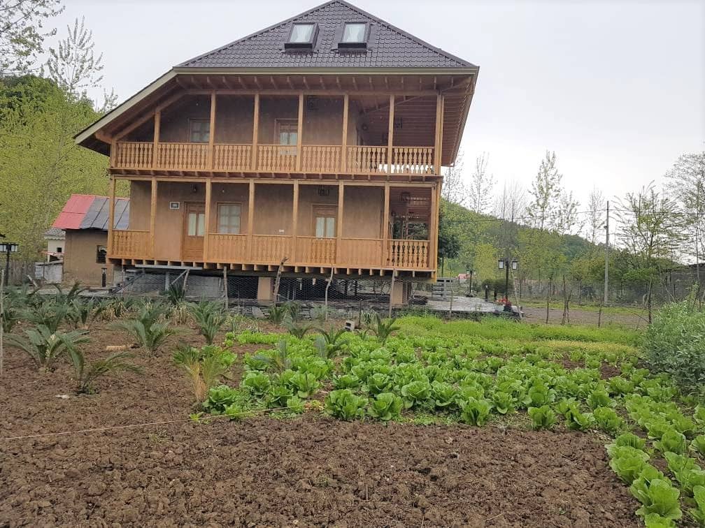 بومگردی جنگلی در روستای توتکی سیاهکل - واحد شوکا