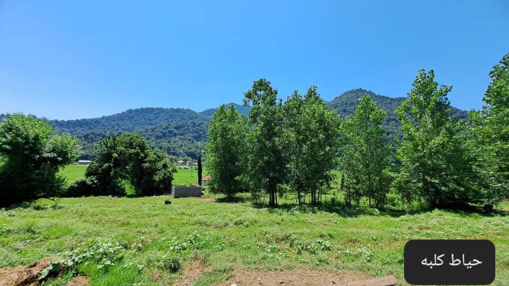 اجاره کلبه چوبی جنگلی جکوزی دار در ماسال - سراکه