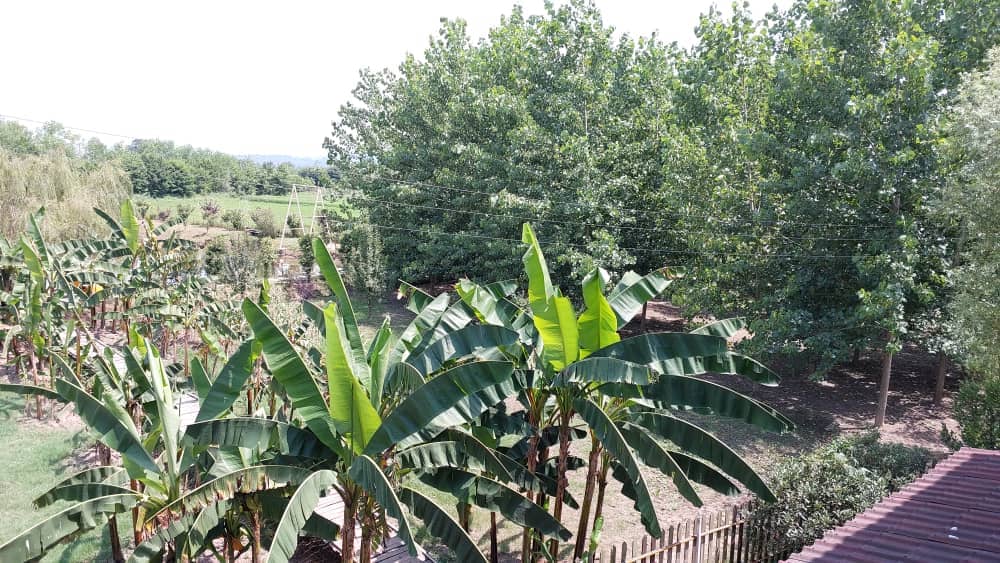 اجاره بومگردی در روستای دلیجان - صدرای دو