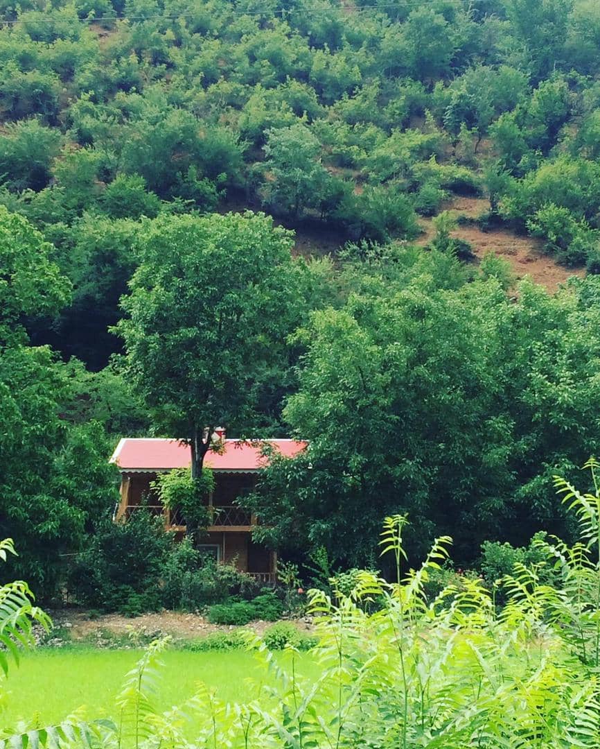کلبه چوبی جنگلی در روستای گنذر ماسال