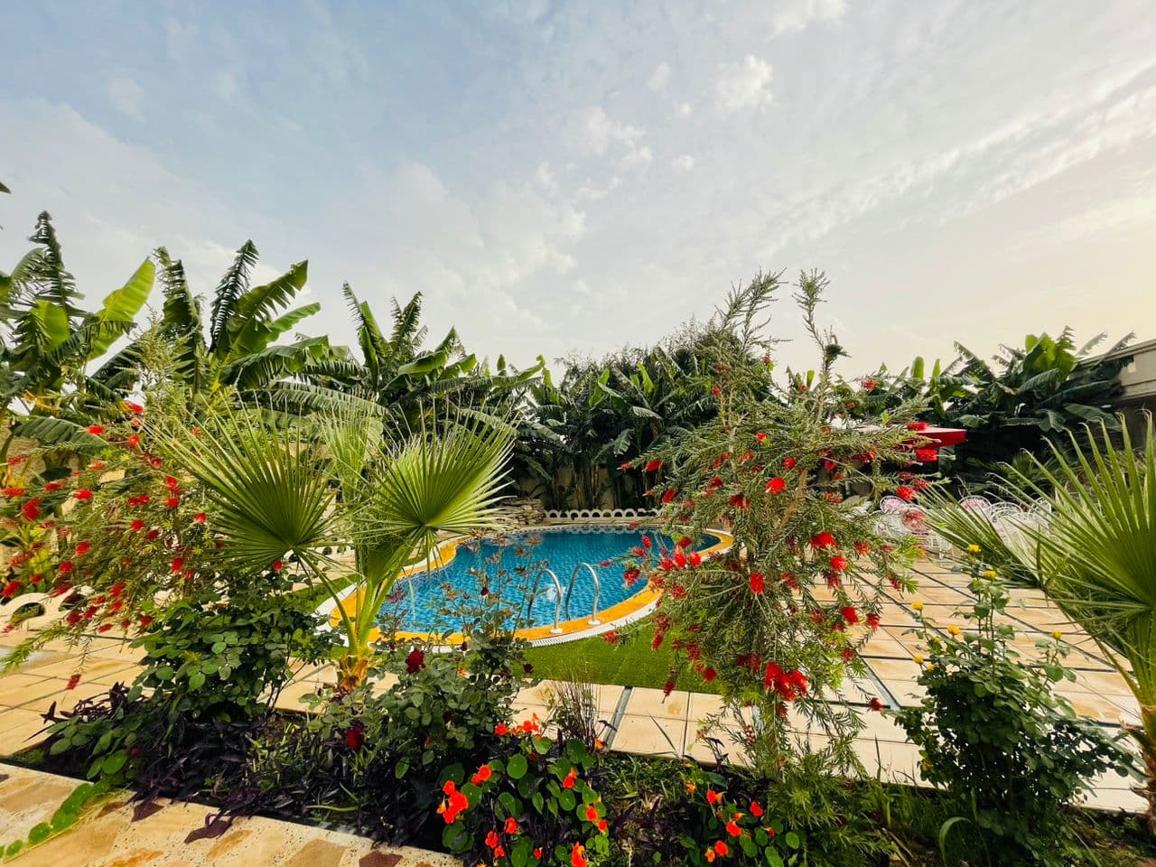 محوطه