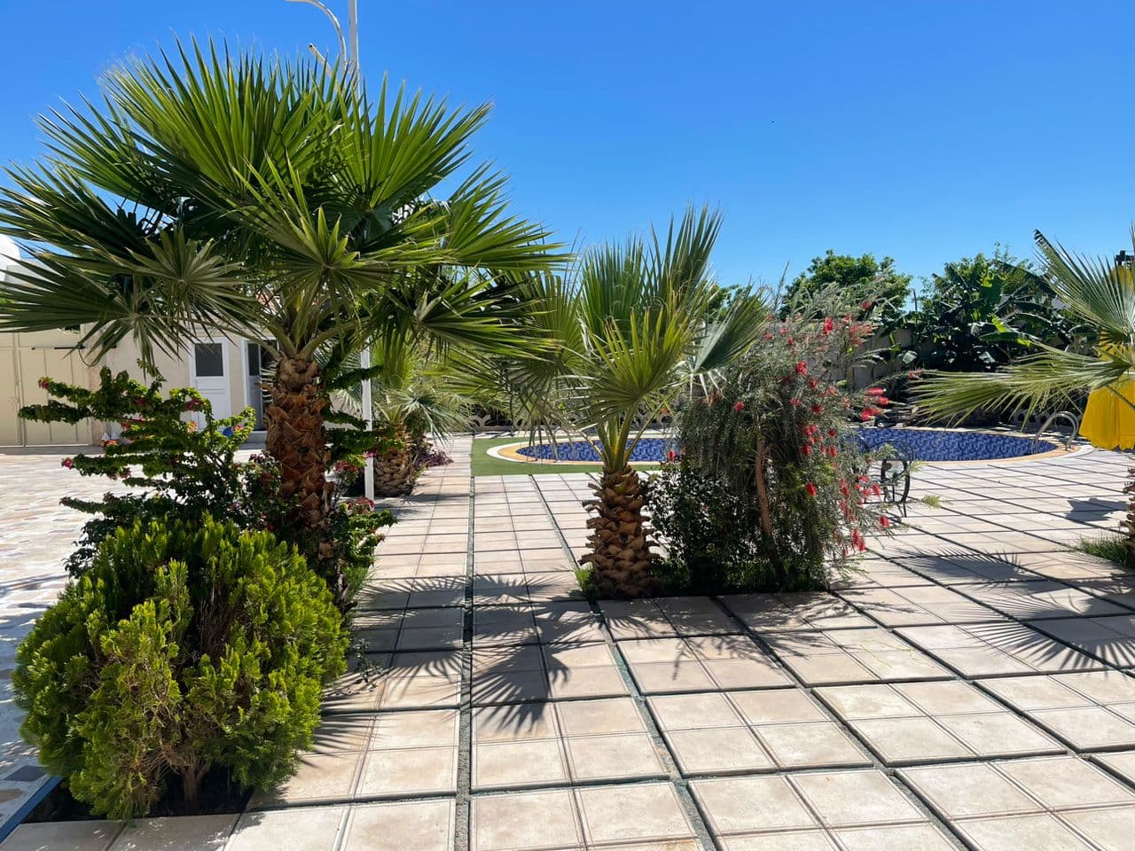 محوطه