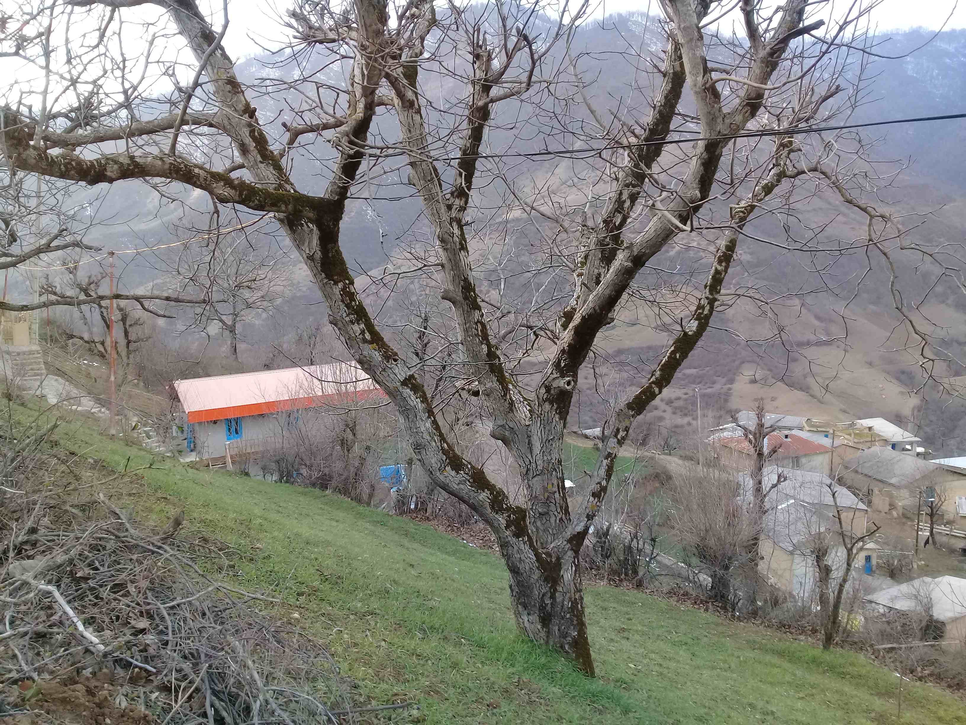 null