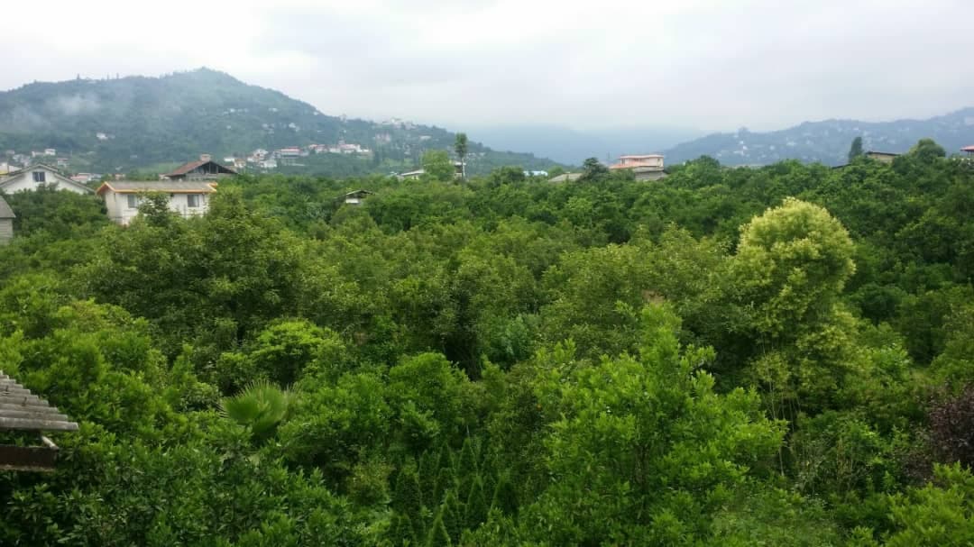 محوطه
