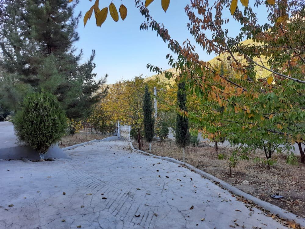 حیاط اقامتگاه