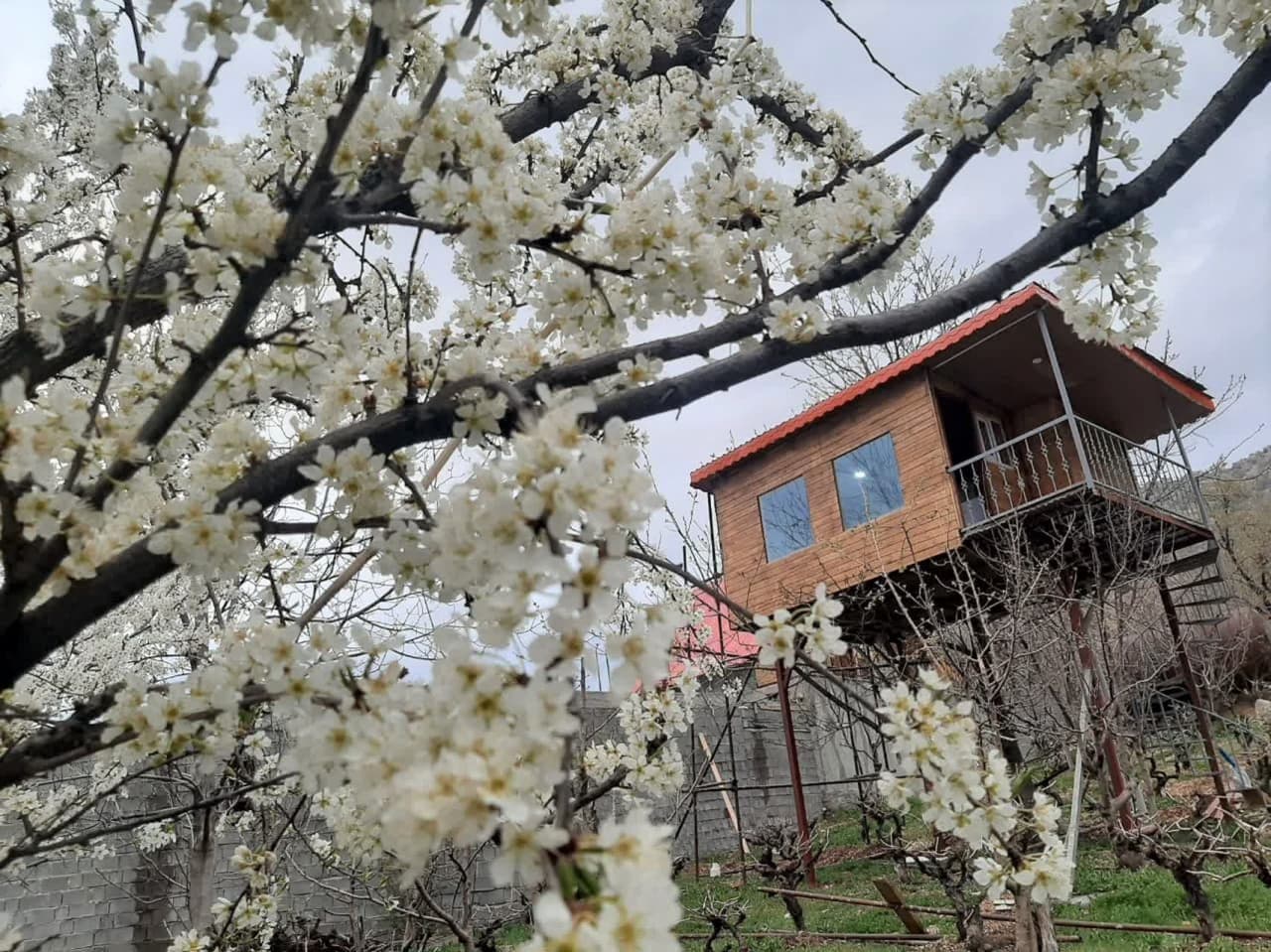 نما کلبه