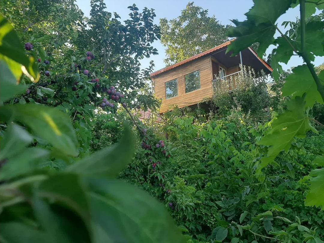 نما کلبه