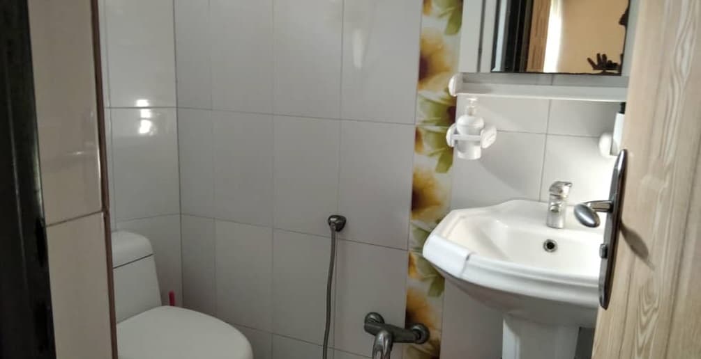 سرویس بهداشتی