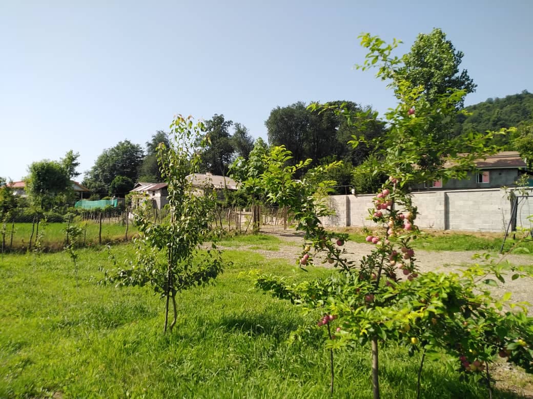 محوطه