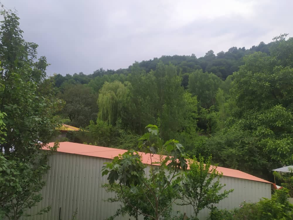 چشم انداز