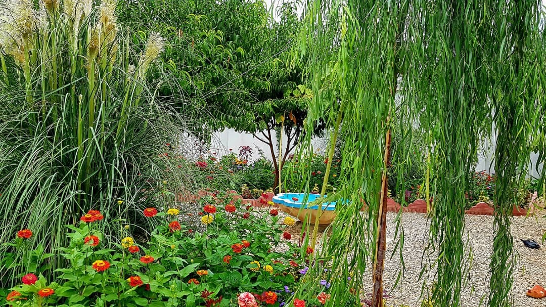 حیاط ویلا