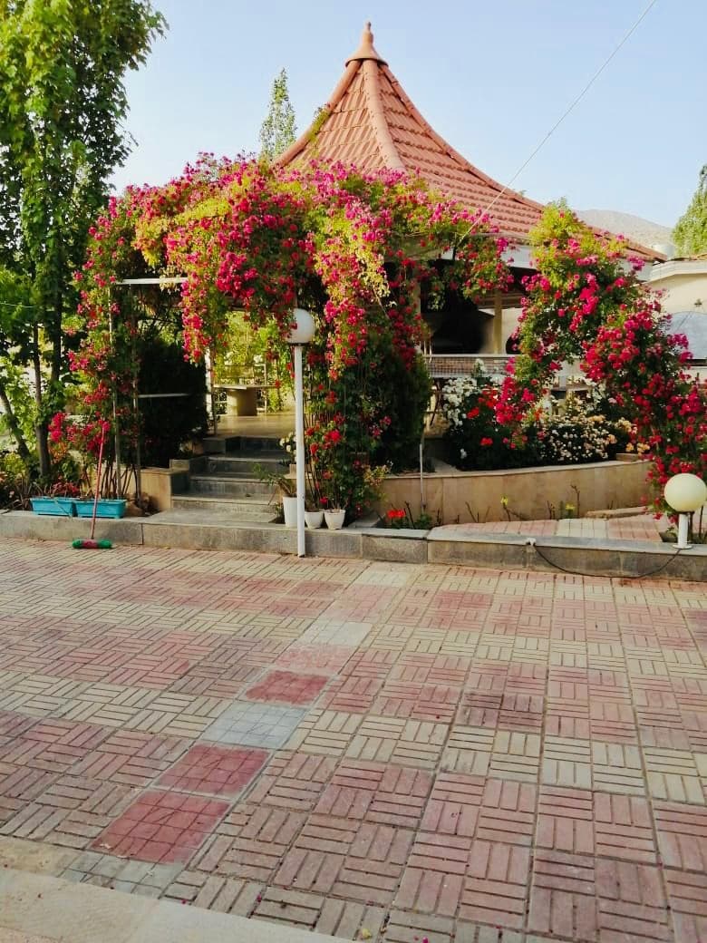 حیاط